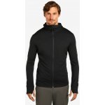 Icebreaker Merino 260 Quantum IV LS Zip Hoodie black – Hledejceny.cz