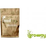 Green House Powder feeding BIOGrow 500g – Hledejceny.cz