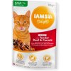 Kapsička pro kočky Iams Cat Delights Beef & Carrots Jelly 85 g