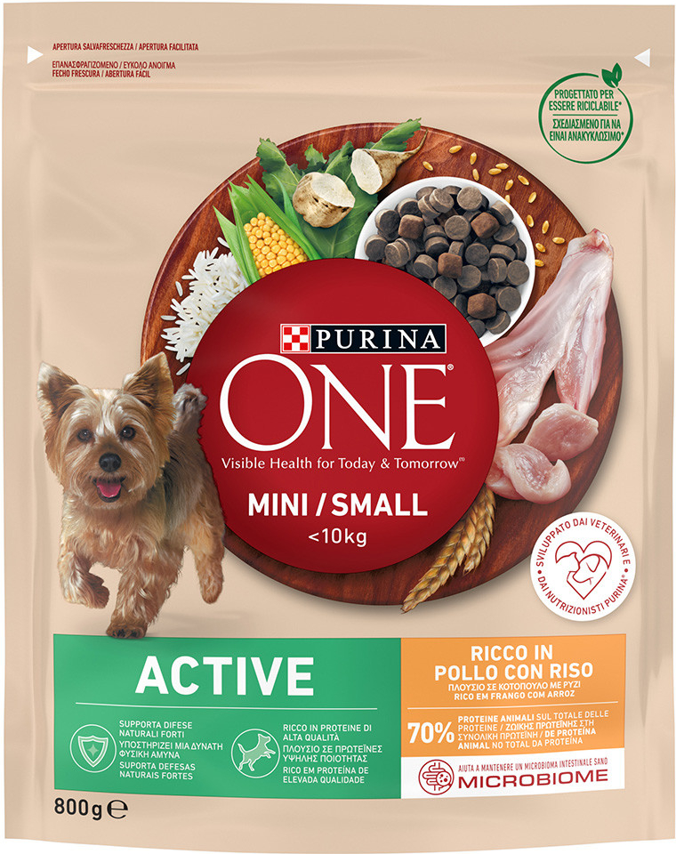 Purina One Mini Active Chicken & Rice 3 x 0,8 kg