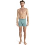 ICEBREAKER Mens Anatomica Boxers Cloud Ray (vzorek) – Zboží Dáma