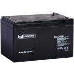 fgForte 12V 12Ah FG12120 – Zboží Živě