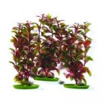 Hagen rostlina Red Ludwigia 20 cm – Zboží Mobilmania