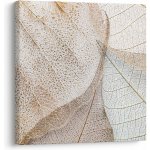 Obraz - Béžové listy, jednodílný 70x70 cm – Hledejceny.cz