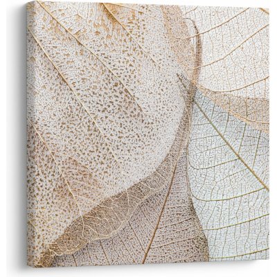 Obraz - Béžové listy, jednodílný 70x70 cm – Hledejceny.cz