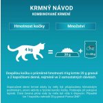 Purina One Adult minifilet jehně mořské ryby kuře hovězí ve šťávě 40 x 85 g – Sleviste.cz