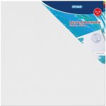 STYLEX Malířské plátno 30 x 30 cm – Zboží Dáma