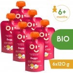 Beggs BIO Dětská rýže s jogurtem, banánem, mangem a malinami 6 x 120 g – Zboží Dáma