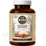Canvit BARF Collagen and Rosehip 140 g – Zboží Mobilmania