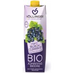 Hollinger Bio džus černý rybíz 1 l – Zbozi.Blesk.cz