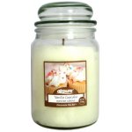 Airpure Vanilla Cupcake 510 g – Hledejceny.cz