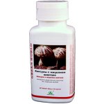 Green world Shiitake 100 kapslí – Hledejceny.cz