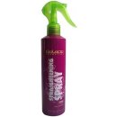 Stylingový přípravek Salerm Straightening sprej 250 ml