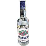 R. Jelínek Moravská Malina 30% 1 l (holá láhev) – Hledejceny.cz