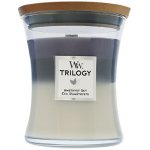WoodWick Trilogy Amethyst Sky 275 g – Zboží Mobilmania