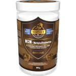 Green idea MSM 800 g – Hledejceny.cz