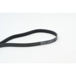 Ozubený klínový řemen CONTINENTAL CTAM 6PK1453 | Zboží Auto