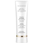 Institut Esthederm PHOTO REVERSE ochranný rozjasňující krém proti pigmentovým skvrnám SPF50+ 50 ml – Hledejceny.cz