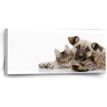 Sablio Obraz Kočička a štěňátko - 110x50 cm – Hledejceny.cz