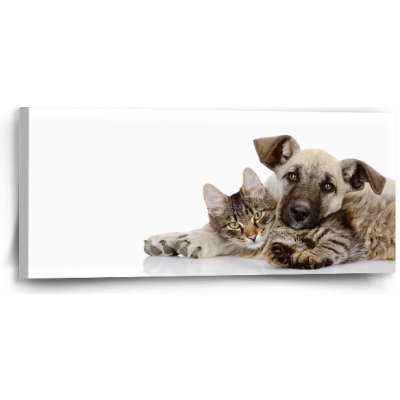 Sablio Obraz Kočička a štěňátko - 110x50 cm – Hledejceny.cz