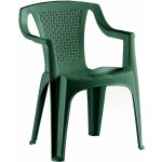 IDEA Europe Plastová židle Luna zelená cca 77 x 57 x 51 cm – Zboží Mobilmania