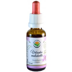 Salvia Paradise Vrbovka malokvětá AF tinktura 30 ml