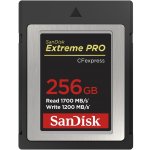 SanDisk SDC 256G SDCFE-256G-GN4NN – Zboží Mobilmania