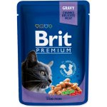 Brit Premium Cat Cod Fish 100 g – Zbozi.Blesk.cz
