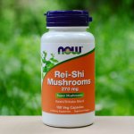 Now Foods Rei-Shi houby Shiitake 270 mg x 100 rostlinných kapslí – Hledejceny.cz
