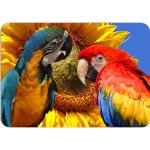 PokojovaDekorace.cz prostírání 377 Papoušek 43x30cm – Zboží Dáma