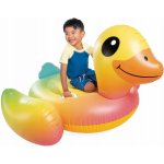 Intex Kačena malá s úchyty 147x147xdětské vozítko do vody 57556 81cm – Zboží Mobilmania