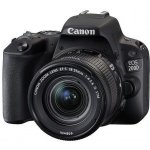 Pentax SP 8x40 WP – Zboží Živě