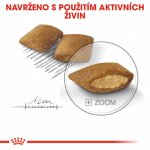 Royal Canin Mini Exigent 3 kg – Hledejceny.cz