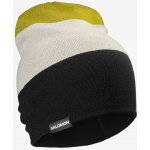 Salomon Zimní čepice Flatspin Reversible Beani deep black/wrought iron – Hledejceny.cz