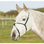 BUSSE Nánosník mexický černá – Zboží Dáma