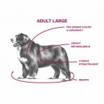 Sam's Field Low Grain Adult Large Chicken & Potato 13 kg – Hledejceny.cz