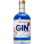 Anton Kaapl Gin Mák & Med 38% 0,7 l (holá láhev) – Hledejceny.cz