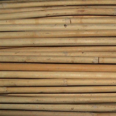 Rákos SEGA pr.8-10mm AA balík 25kg 5208000 – Hledejceny.cz