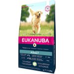 Eukanuba Adult Large Lamb & Rice 2,5 kg – Hledejceny.cz