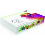 Biogena Fantastic Tea Maxi 8 x 8 64 ks – Zbozi.Blesk.cz