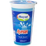 HaydI Ayran turecký jogurtový nápoj 250 ml – Sleviste.cz