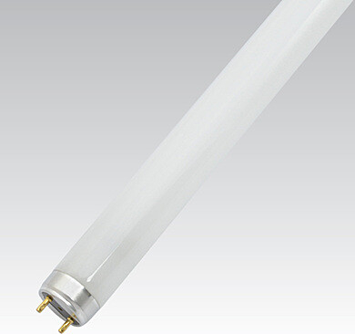 NBB 108130000