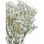 Nevěstin závoj/stabilizovaná Gypsophila svazek/kytice přírodní bílá 45g – Sleviste.cz