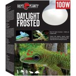Repti Planet Daylight Frosted 100 W – Hledejceny.cz