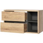 COMAD Skříňka pod umyvadlo 100cm 2 zásuvky DEVON 5907441299503 – Sleviste.cz