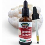 Royal Brand Korálovec ježatý 50 ml veganské kapky – Hledejceny.cz