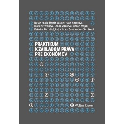 Praktikum k základom práva pre ekonómov - Dušan Holub, Hana Magurová, Martin Winkler, Katarína Bartalská, Lujza Jurkovičová, Marián Kropaj, Andrea Slezáková, Lenka Vačoková, Mária Veterníková