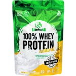 Lionlab 100 % Whey Protein 750 g – Zboží Dáma