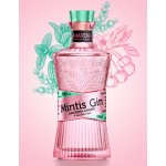 Mintis Gin Amarena 41,8% 0,7 l (holá láhev) – Zboží Dáma