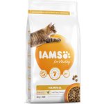 Iams Cat Adult Hairball Chicken 10 kg – Hledejceny.cz